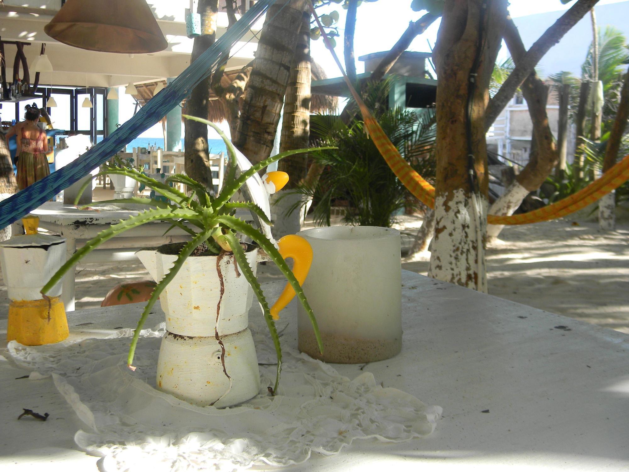 Playa Kin Ha Hotel Tulum Esterno foto